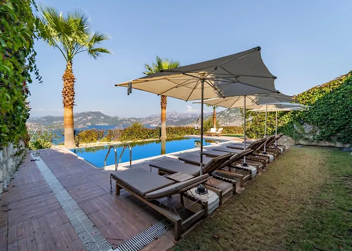 Massi * סלימייה